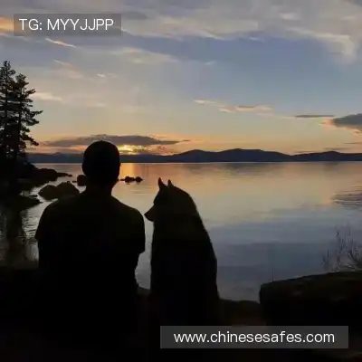 成歌舟